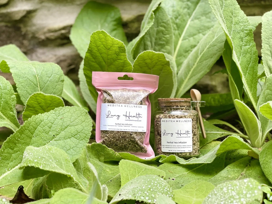 Top 10 Herbs To Clear Mucus From Lungs - MediTea Wellness