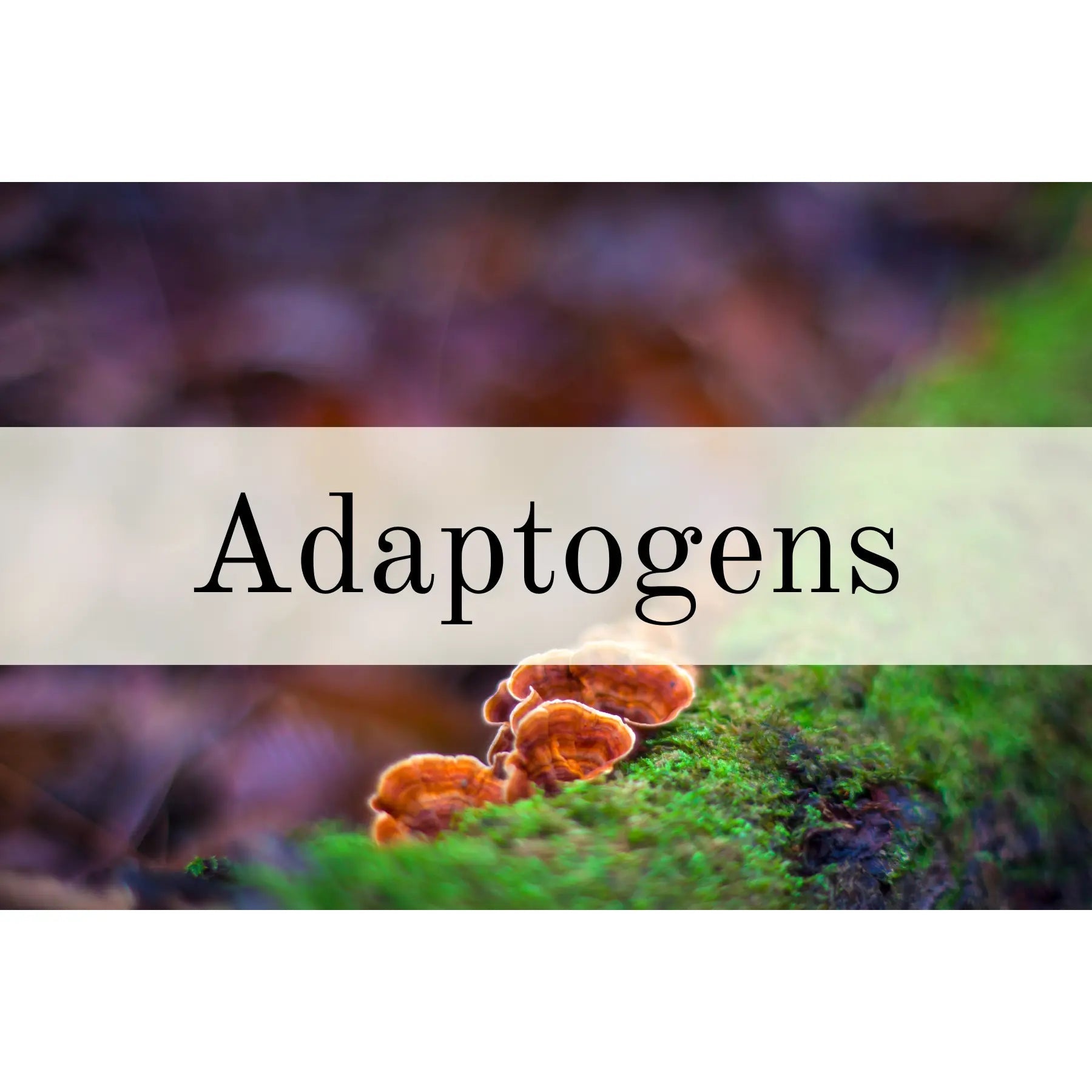 Adaptogens – Tagged 