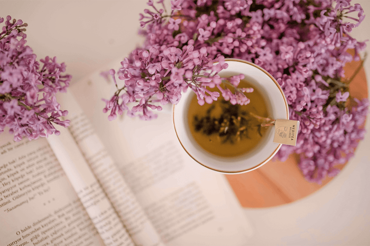 MediTea Wellness - Gourmet Loose Leaf Herbal Tea